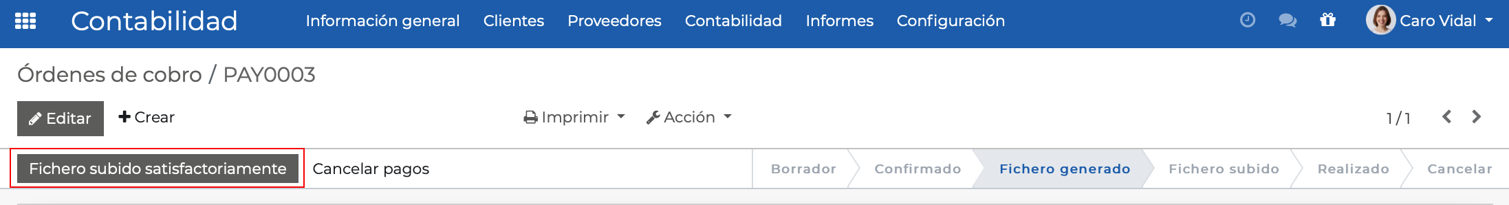 Imagen 12: Fichero subido satisfactoriamente